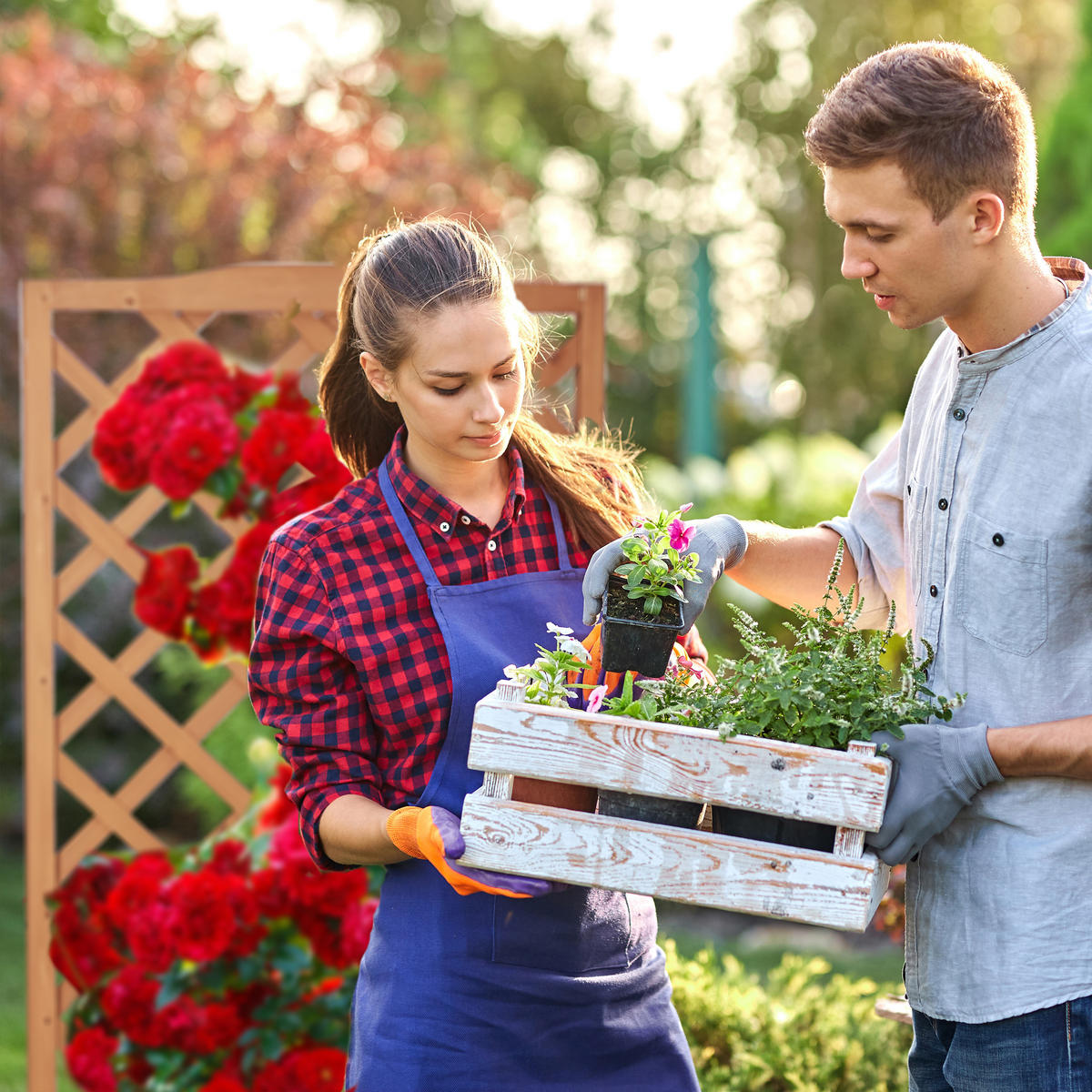 RANKKASTEN - Hellbraun, Holz (36/90/36cm) - Relaxdays