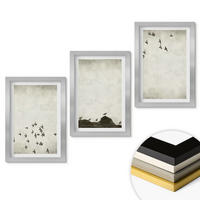 WANDBILDER 3er Set - 20x30 cm Silberner Rahmen - Vögel im Flug, minimalistischer Stil - Silberfarben, Kunststoff (20/30cm) - ArtPrintCave