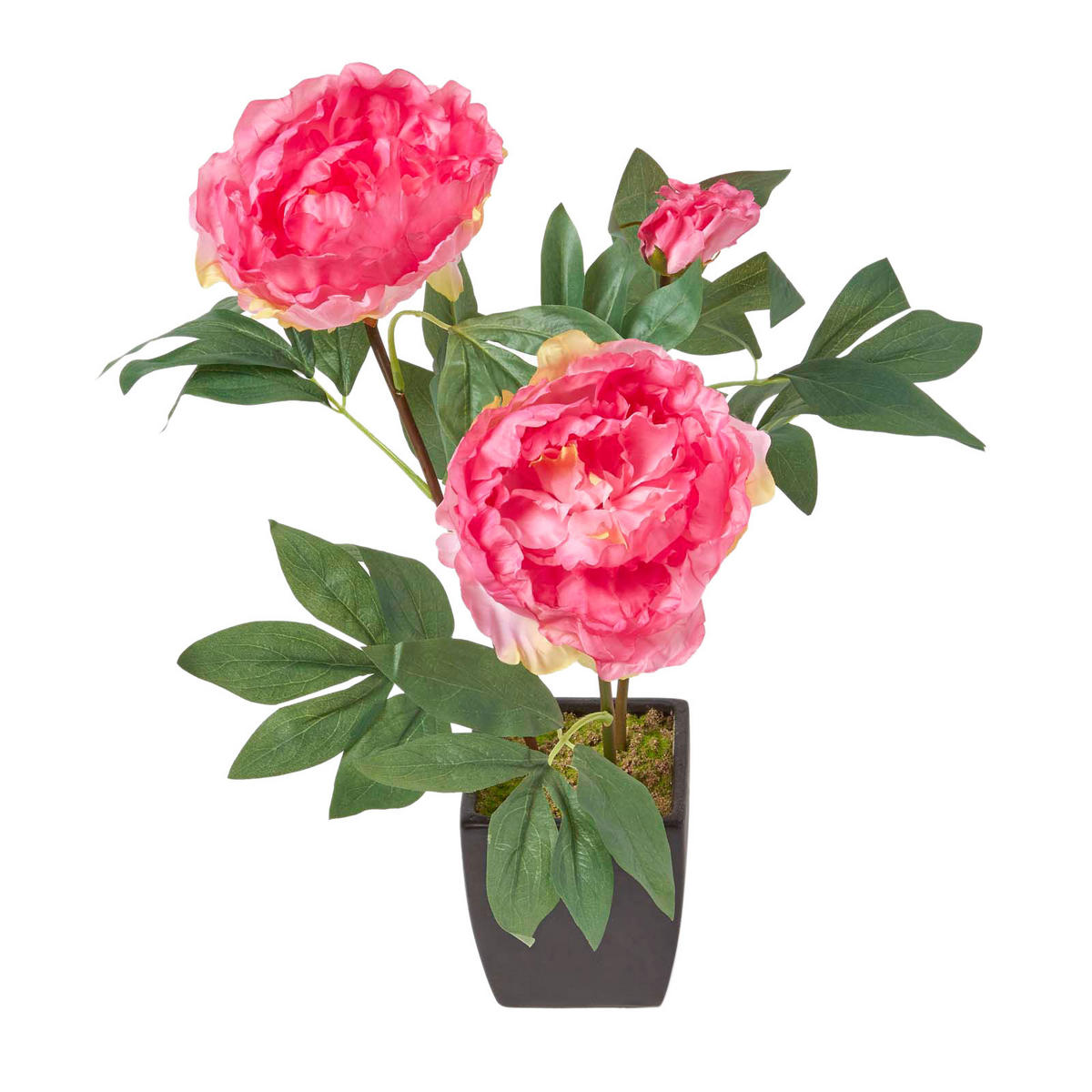 KUNSTBLUME Pfingstrose rosa im Deko-Topf, 46 cm - Rosa, Kunststoff (46cm) - Homescapes