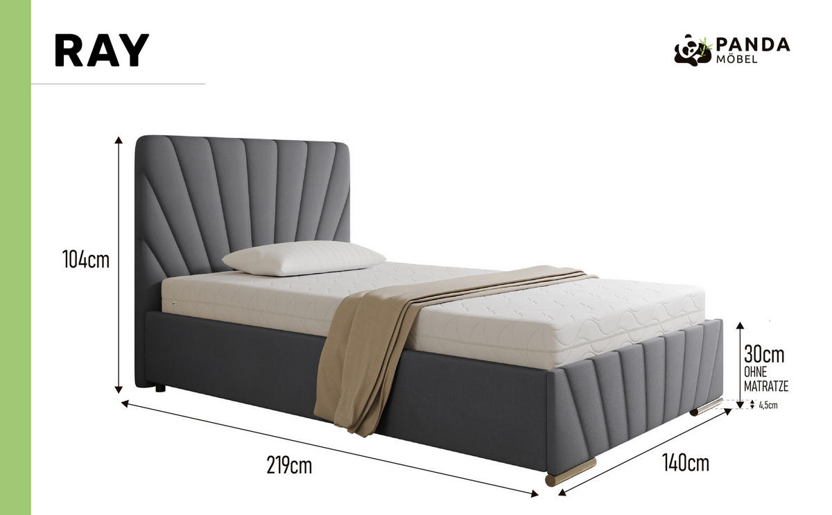 POLSTERBETT Ray 120 x 200 cm mit Bettkasten und Lattenrost taschenfederkernmatratze 19cm- grau - Grau, Holz (120/200cm) - Panda Möbel