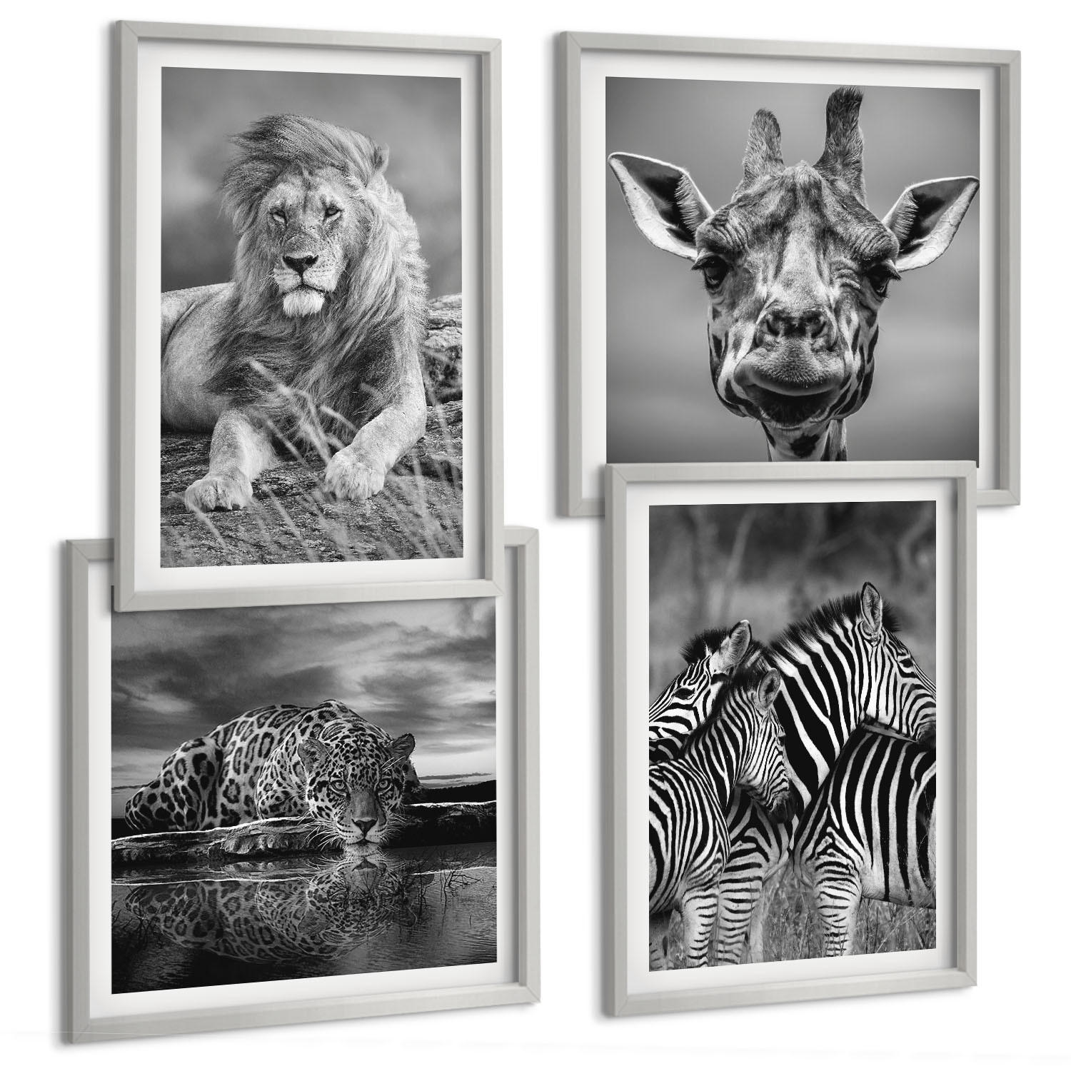 BILDER SET 4er Set - 50x50 cm & 40x60 cm Silberner Rahmen - Wildtiere Löwe Jaguar Giraffe Zebras - Silberfarben, Kunststoff (50/50cm) - TULUP