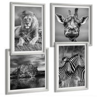 BILDER SET 4er Set - 50x50 cm & 40x60 cm Silberner Rahmen - Wildtiere Löwe Jaguar Giraffe Zebras - Silberfarben, Kunststoff (50/50cm) - TULUP