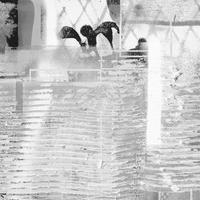 FOTOTAPETE künstlerisch 500 x 280 cm - Grau, Papier (500/280cm) - Sanders & Sanders