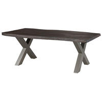 BAUMTISCH Mango 240x100x77 grau lackiert / X-Beine silber matt FREEFORM 5 - Grau, Holz (240/100/77cm) - Massivmoebel24