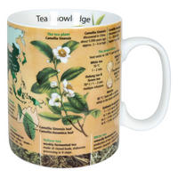 KAFFEEBECHER Knowledge Mug Tea - Naturfarben, Keramik (0.49L) - Könitz