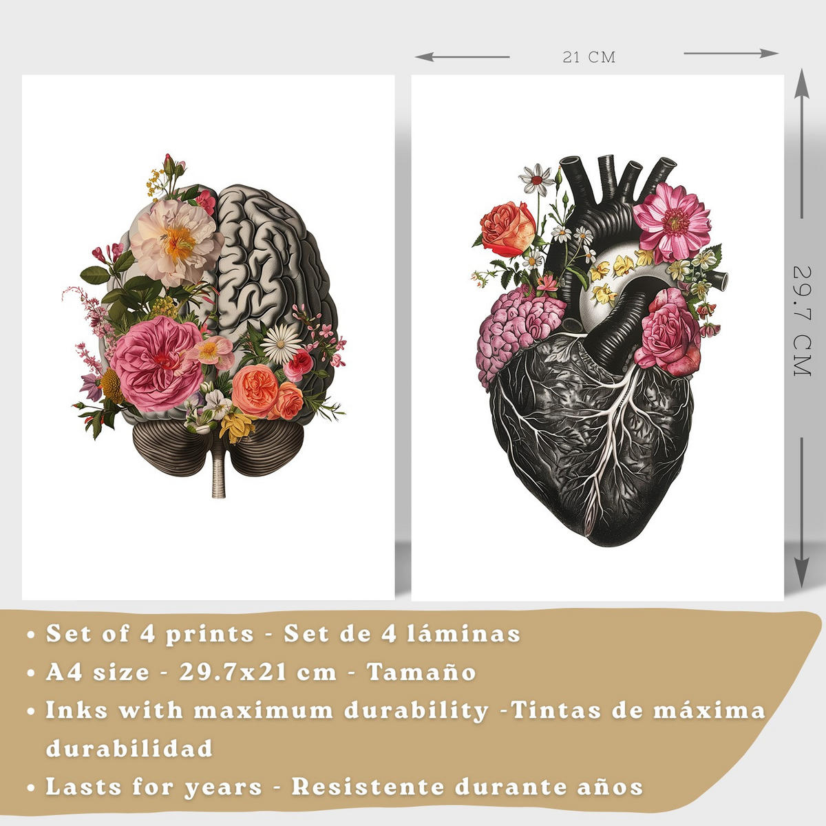 POSTER Set aus 4 Anatomie Drucke und Dekorative mit Gehirn Herz Lungen Atmungssystem Rippen Wirbelsäule Modernes Florales Größe Weißer Rahmen A4 - Weiß, Papier (21/29.7/3cm) - Nacnic