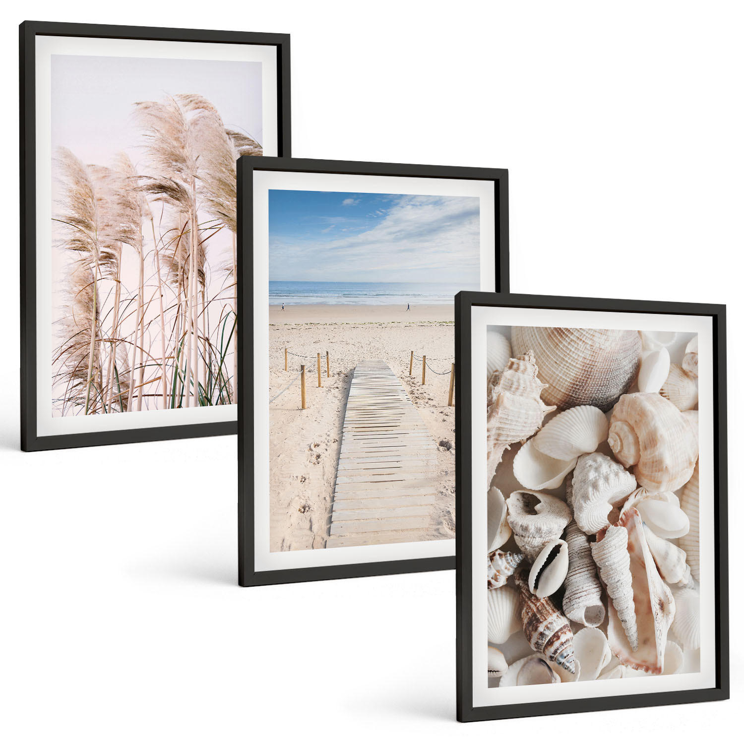 BILDER SET 3er Set - 40x60 cm Schwarzer Rahmen - Strandmuscheln Seegras - Schwarz, Kunststoff (40/60cm) - TULUP