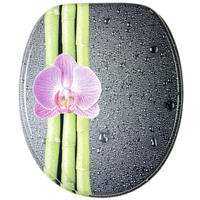 WC-SITZ mit Absenkautomatik Asia - Violett, Holzwerkstoff (38/6/47cm) - Sanilo