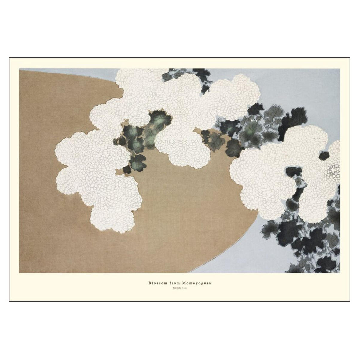 POSTER A.P. Atelier - Blossom from Momoyogusa - Naturfarben, Papier (30/40/0.1cm) - Poster&Frame