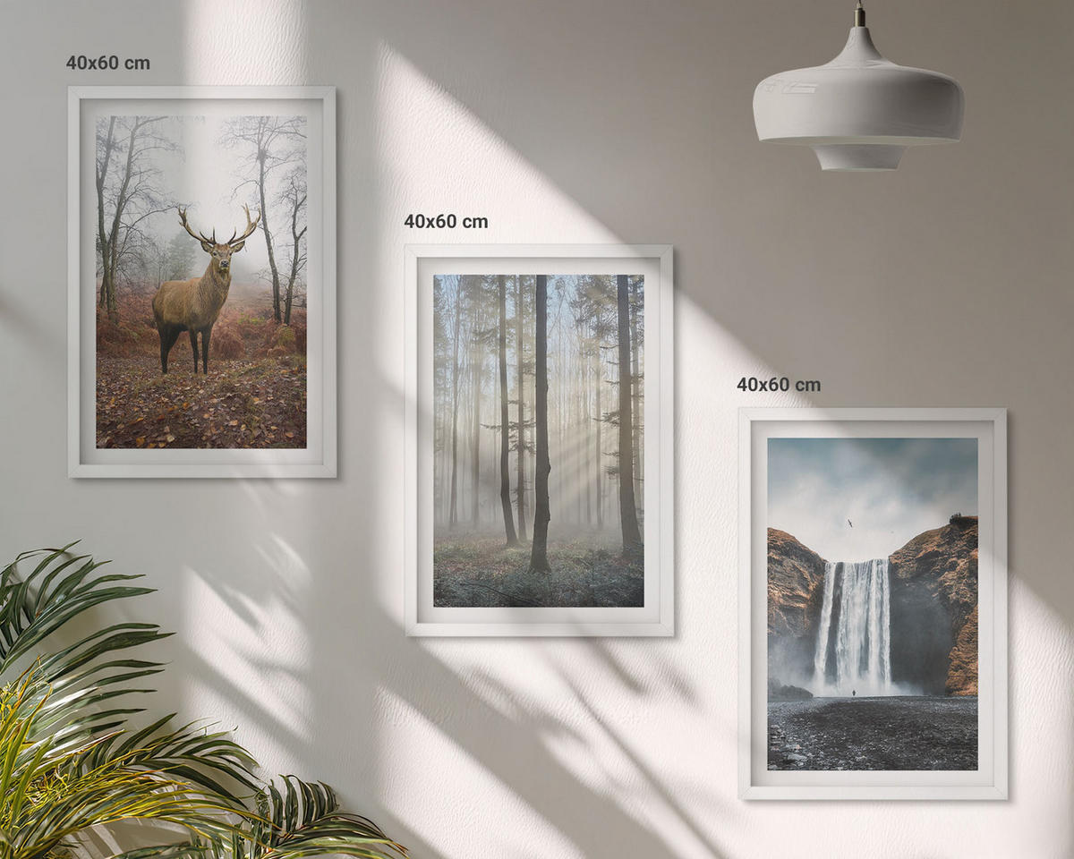 BILDER SET 3er Set - 40x60 cm Weißer Rahmen - Waldlandschaften, wilde Natur - Weiß, Kunststoff (40/60cm) - TULUP