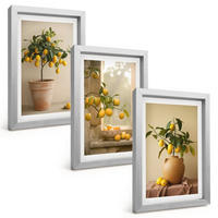 BILDER SET 3er Set - 20x30 cm Silberner Rahmen - Zitronenbäume im Topf - Silberfarben, Kunststoff (20/30cm) - TULUP