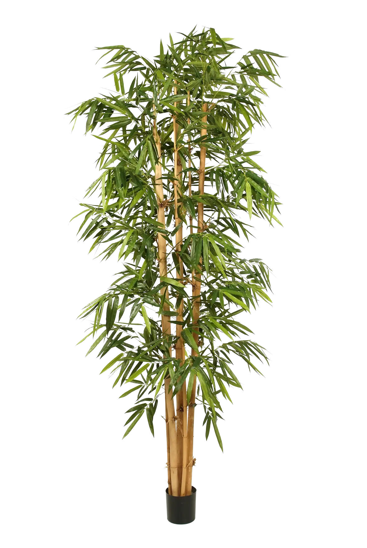 KUNSTBAUM Künstlicher Bambus - Marlon 300 cm - Grün, Kunststoff (300cm) - aplanta