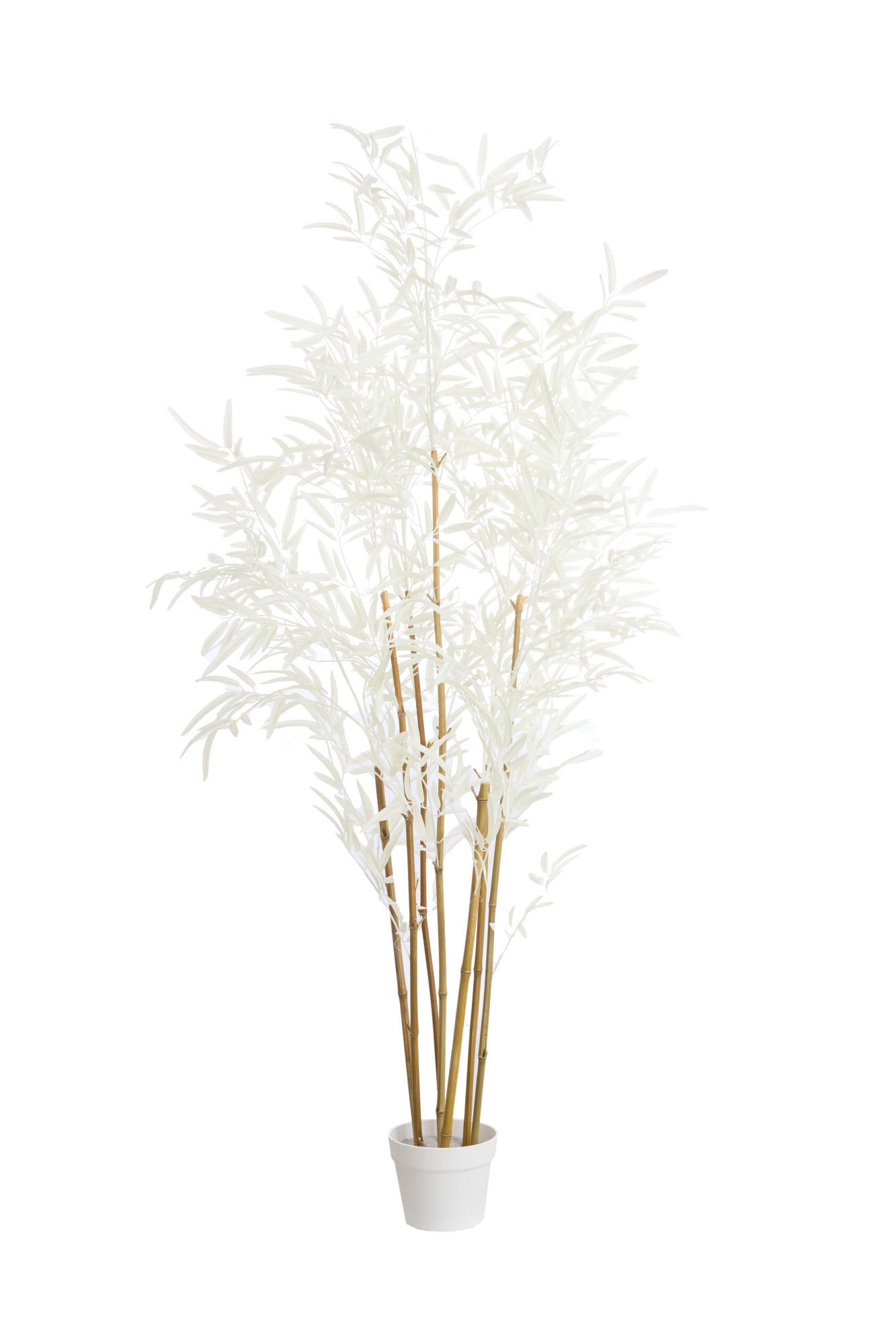 TOPF Bambus Braun 70/60/150 cm - Braun, Kunststoff (150cm) - Light & Living