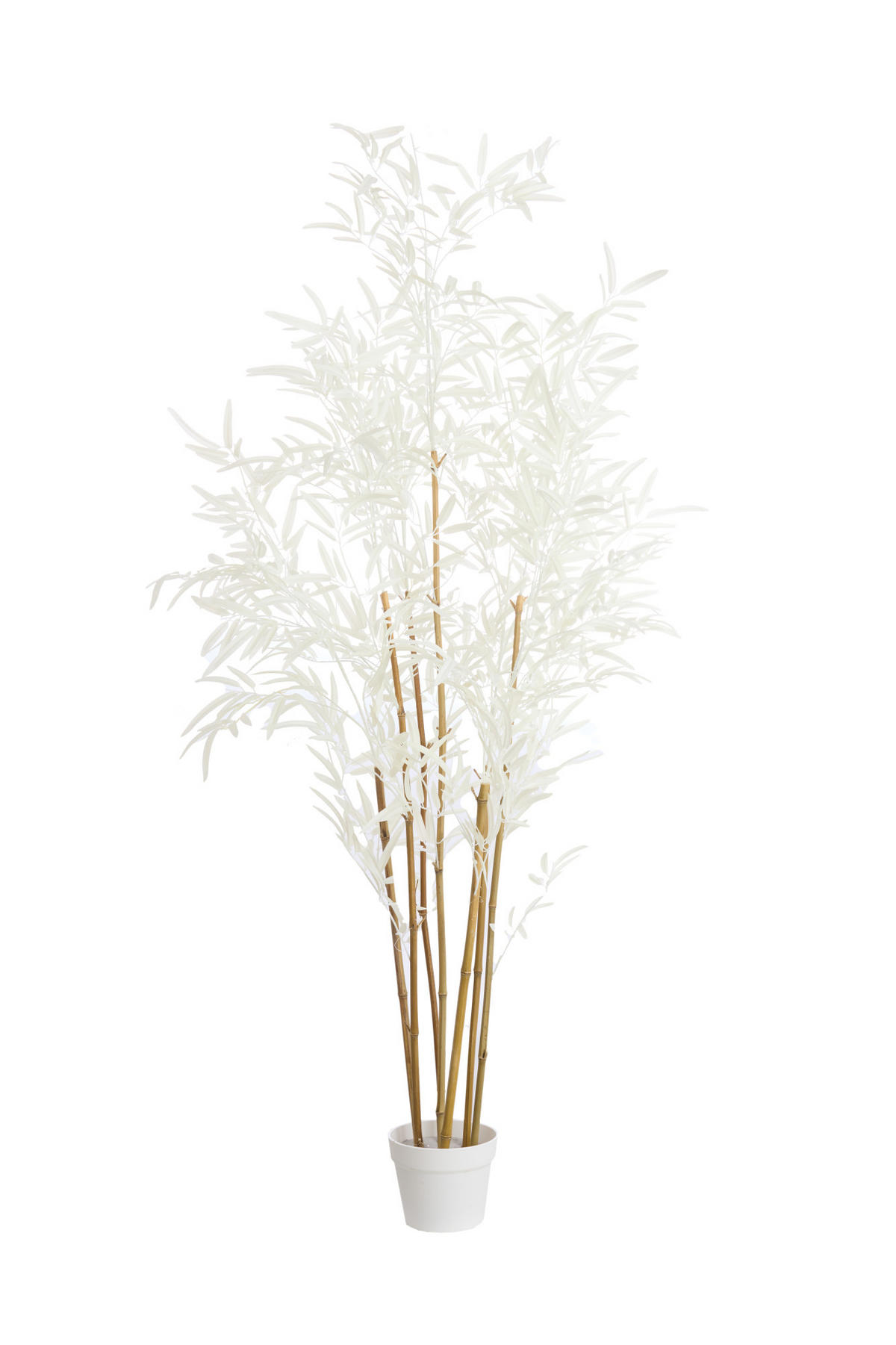 TOPF Bambus Braun 70/60/150 cm - Braun, Kunststoff (150cm) - Light & Living