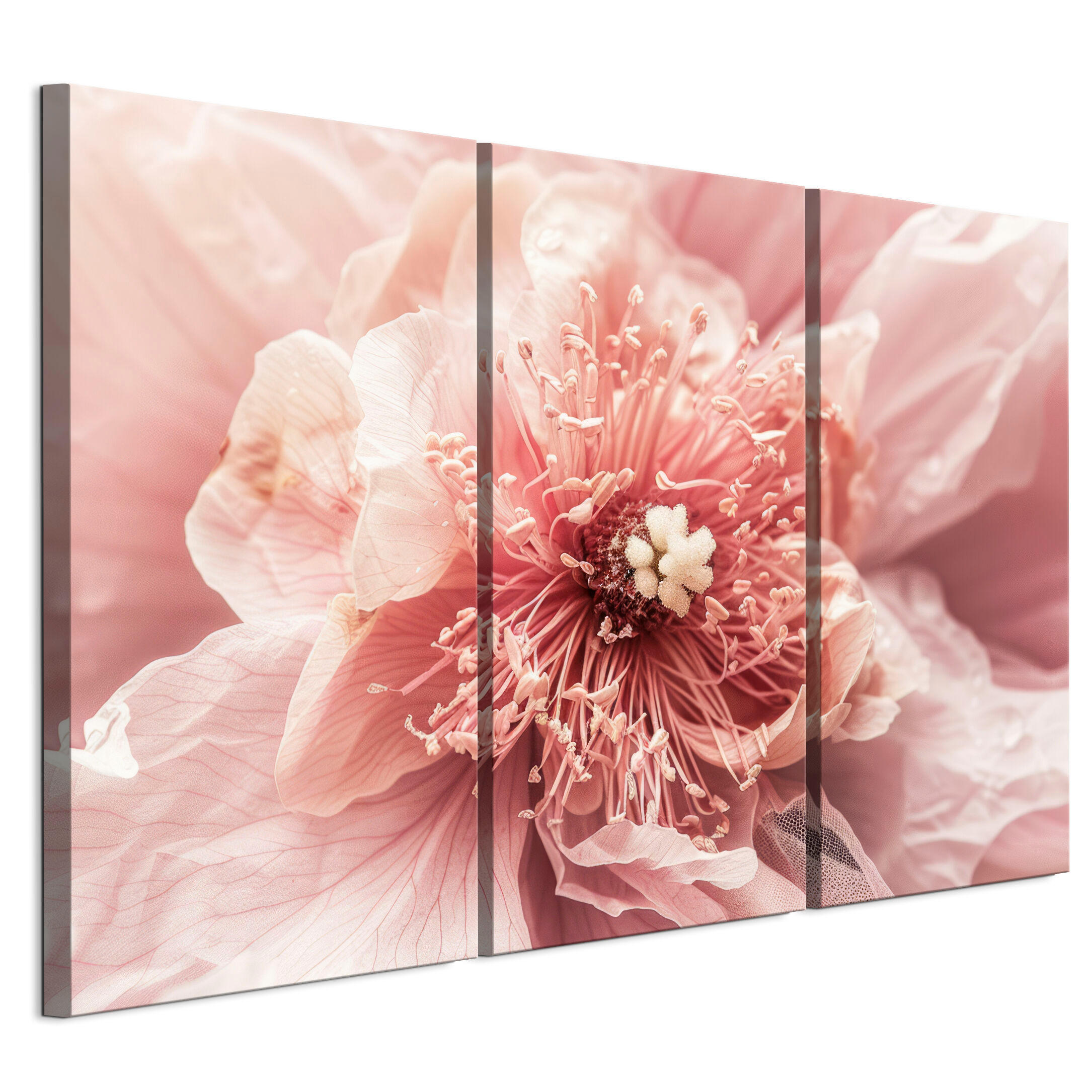 LEINWANDBILD Magnolie 3-tlg. 90x60 cm - Multicolor, Holz (90/60cm) - LUMASOUL