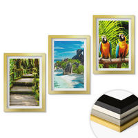 WANDBILDER 3er Set - 20x30 cm Goldrahmen - Tropischer Wald Papageienwasserfall - Goldfarben, Kunststoff (20/30cm) - ArtPrintCave