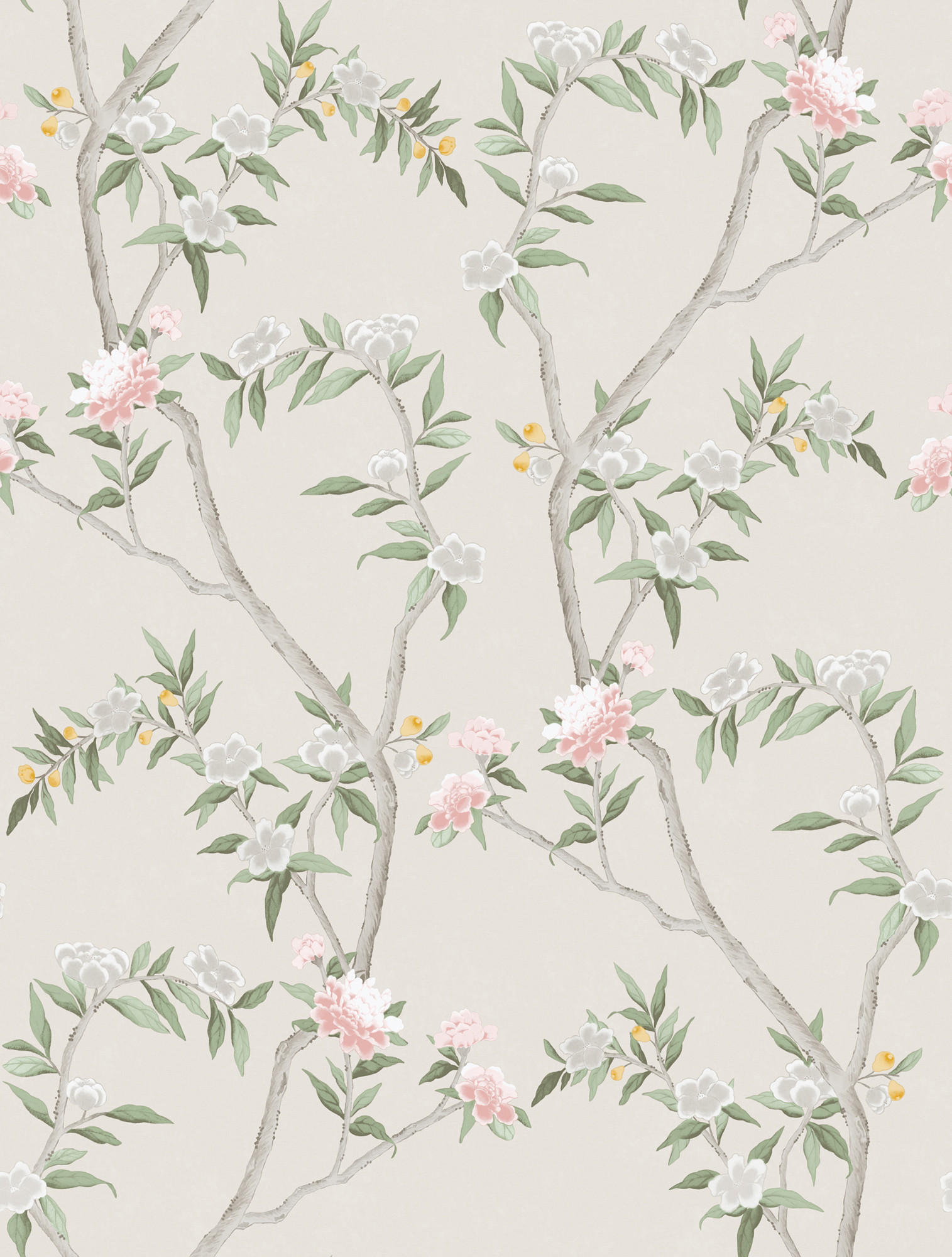 TAPETE Blumen 53 cm x 10 m - Beige, Papier (53/1000cm) - Sanders & Sanders