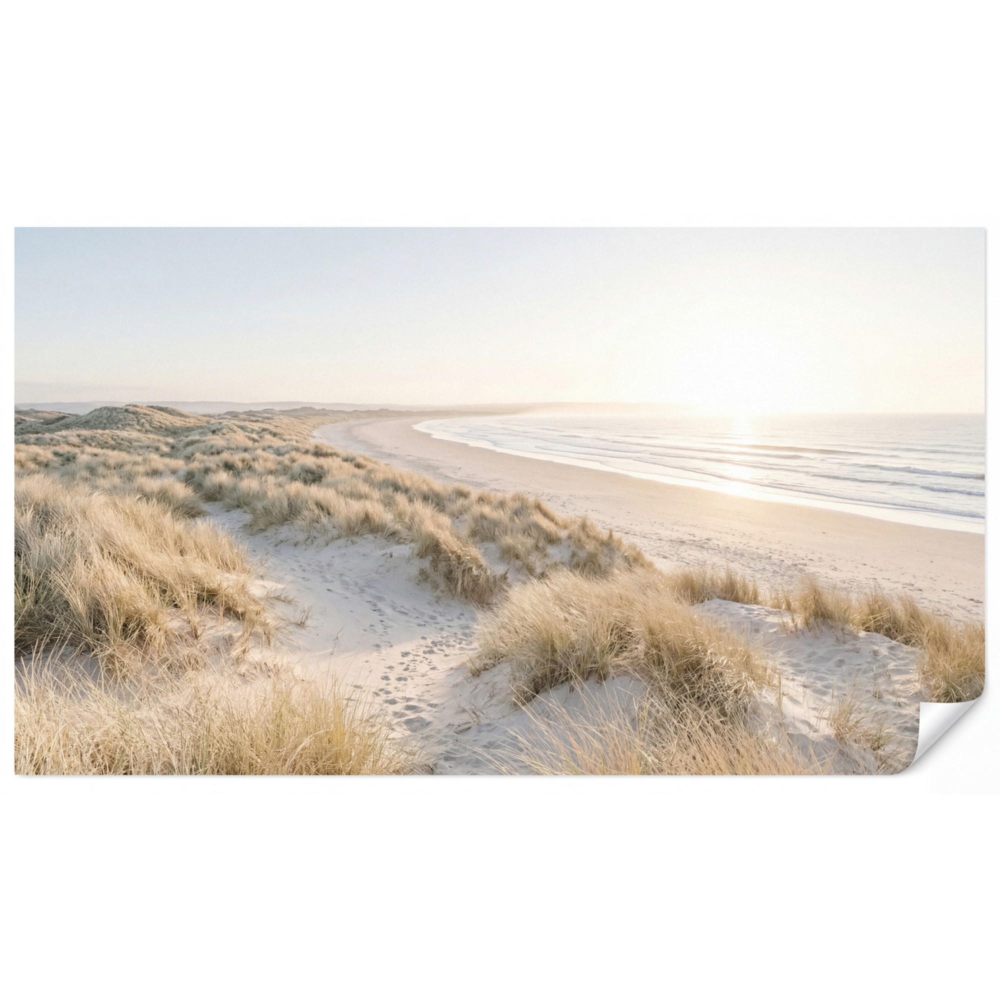 OnlyWow Tapete Sand 450x240 cm