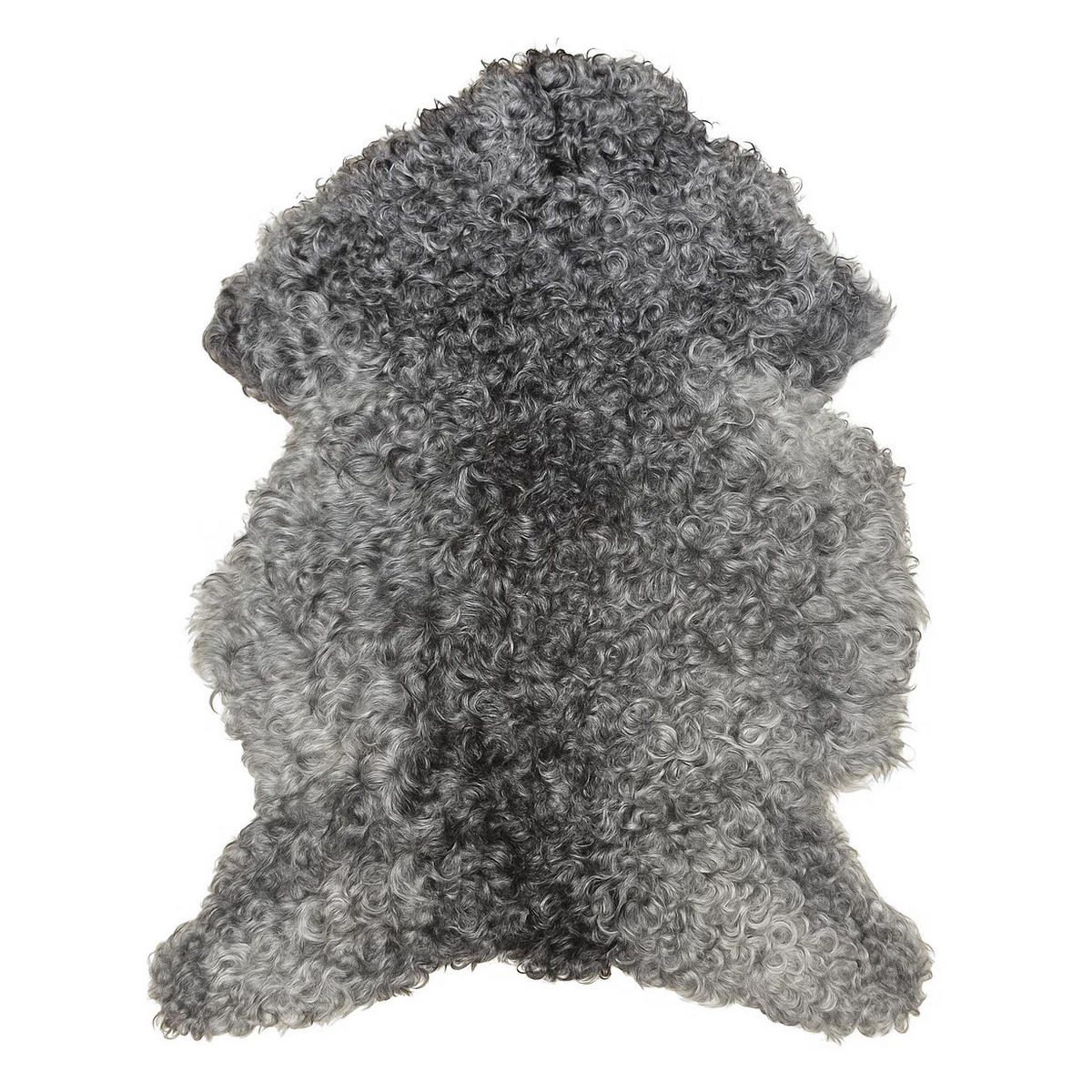SCHAFFELL Gotland Naturgrau Lockig Unikat ca. 100 cm - Dunkelgrau, Fell (60/100cm) - Provellus