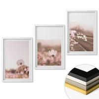 WANDBILDER 3er-Set - 40x60 cm Weißer Rahmen - Sommerlandschaften mit Wildblumenwiesen - Weiß, Kunststoff (40/60cm) - ArtPrintCave