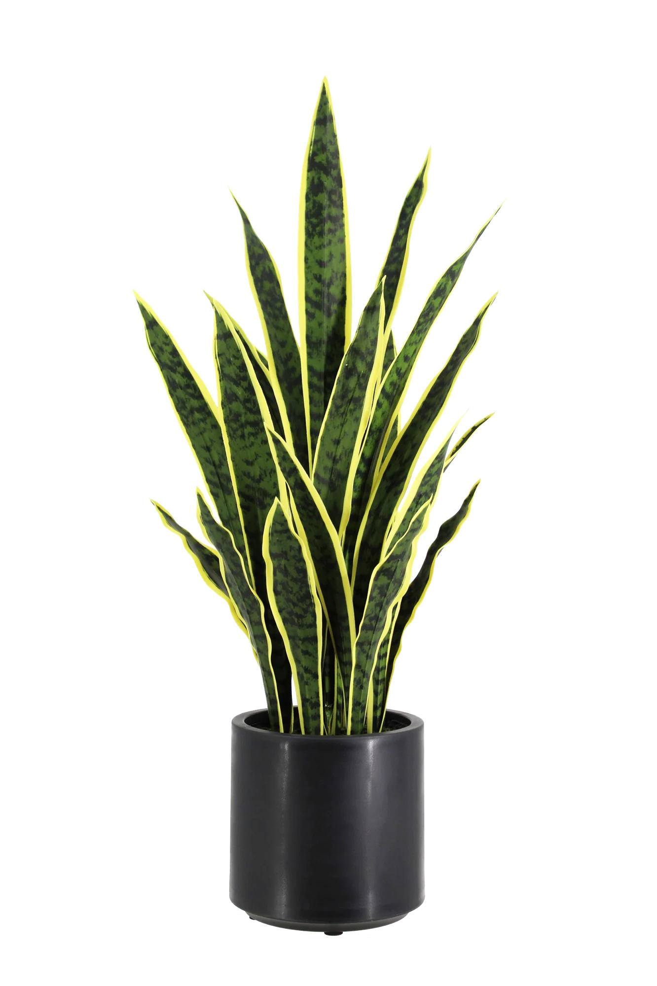 KUNSTPFLANZE Künstlicher Bogenhanf - Juan 90 cm - Grün, Kunststoff (90cm) - aplanta