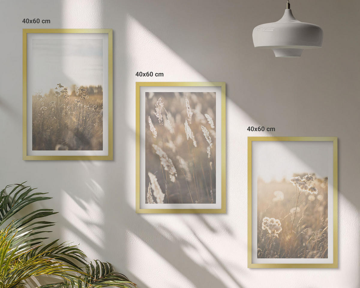 BILDER SET 3er Set - 40x60 cm Goldrahmen - Landschaftsgrasblumen Wärme - Goldfarben, Kunststoff (40/60cm) - TULUP