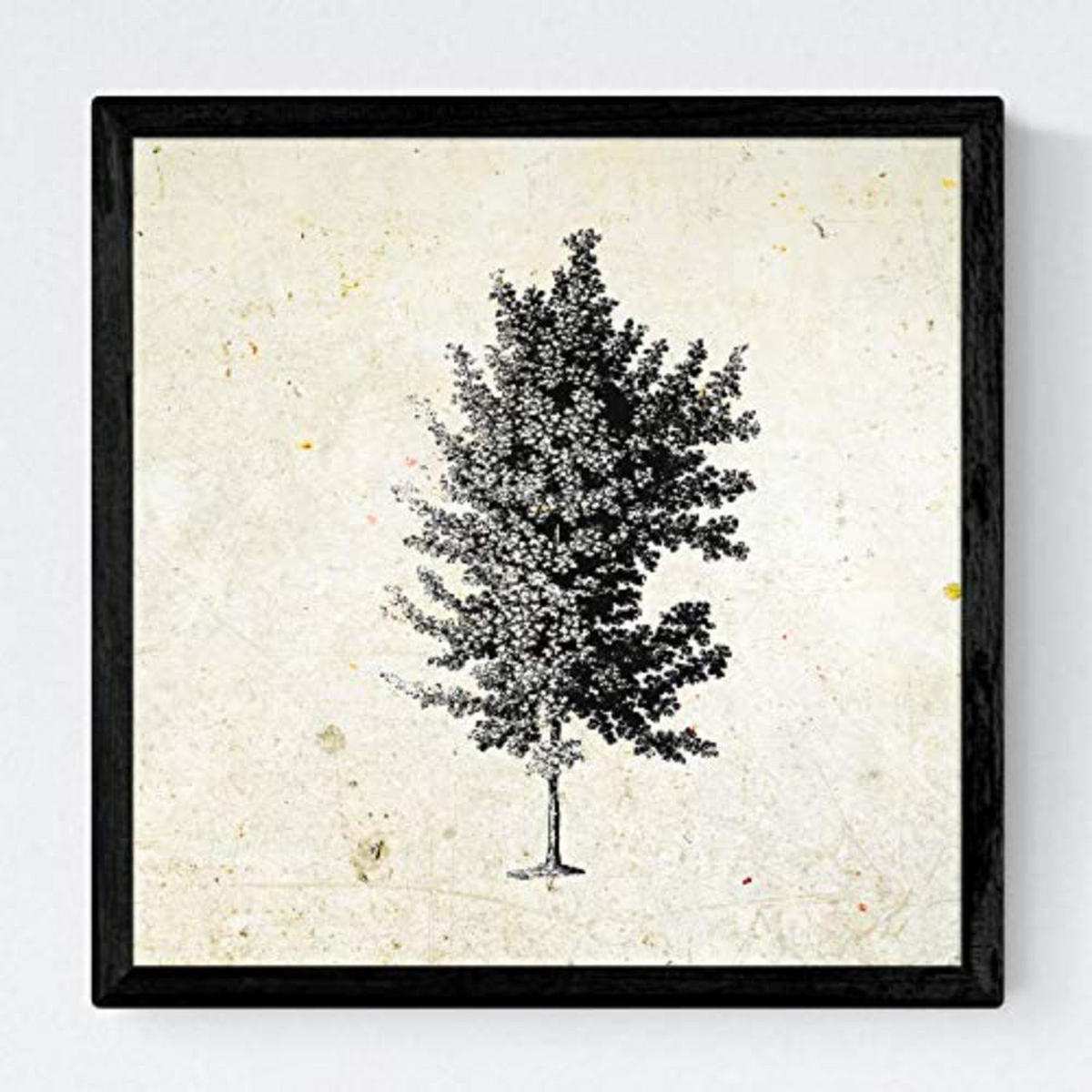 POSTER Set mit 4 Blättern der Bäume struktur 20x20cm Schwarzer Rahmen - Schwarz, Papier (20/3cm) - Nacnic