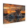 LEINWANDBILD Natur - Leopard - Tier - Sonnenuntergang - Modern 30x20 cm - Orange, Textil (30/20cm) - MuchoWow