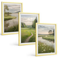 BILDER SET 3er Set - 40x60 cm Goldrahmen - Sommerliche Flusswiesen voller Blumen - Goldfarben, Kunststoff (40/60cm) - TULUP