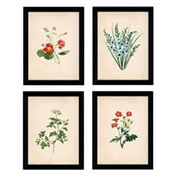 POSTER Set mit 4 Botanischen Stils Sensitive A3 Rahmenlos - Klar, Papier (29.7/3cm) - Nacnic
