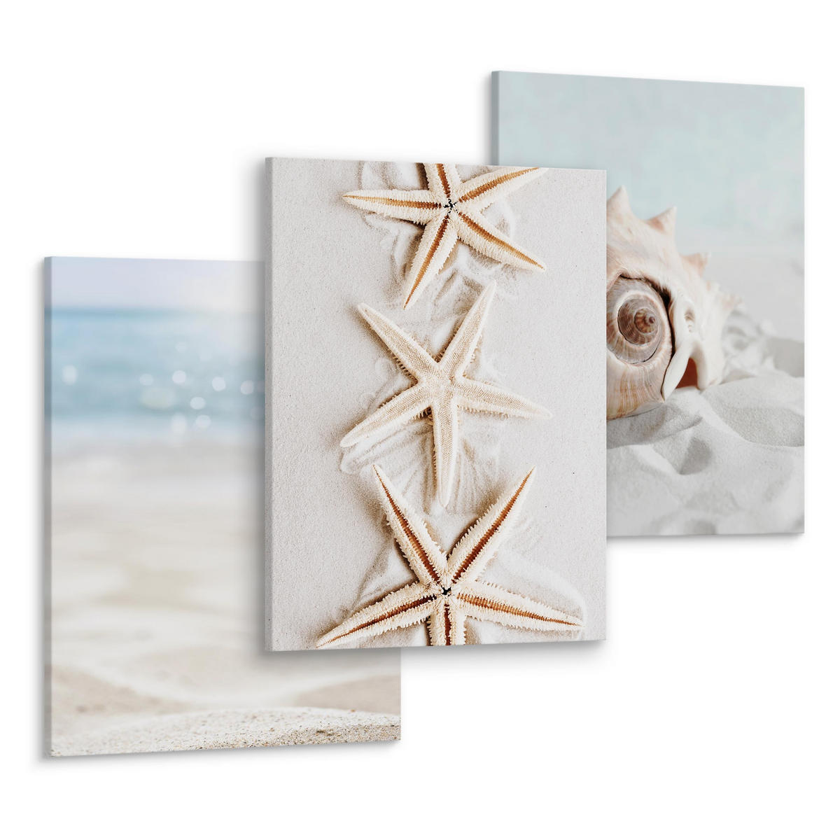 LEINWANDBILDER 3-er Set Muscheln Strand - Blau/Beige, Textil (90/40cm) - Muralo