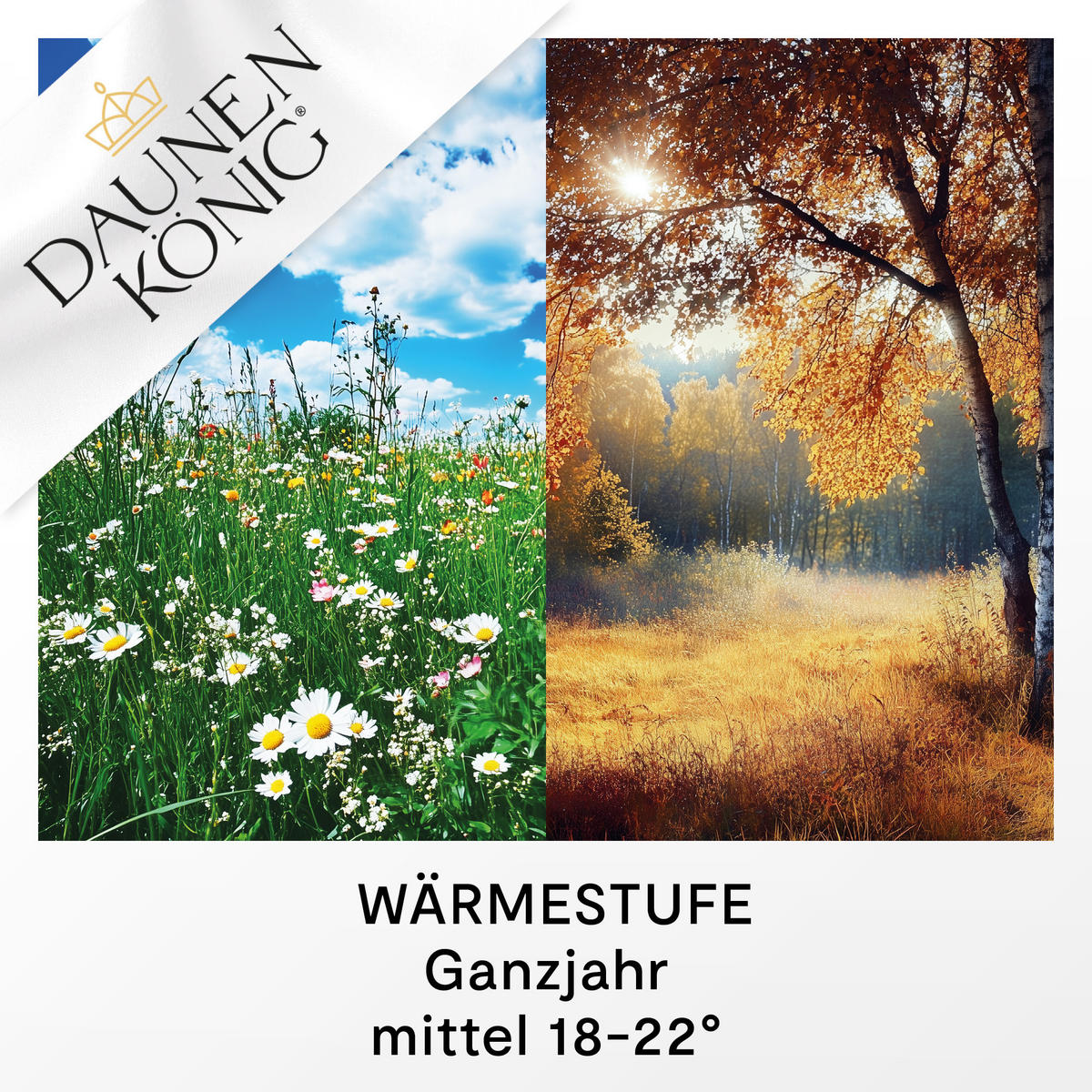 GANZJAHRESBETTDECKE QUEEN Entendaunen medium - Weiß, Naturmaterialien/Textil (200/220cm) - Daunenkönig
