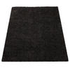 HOCHFLORTEPPICH 60/100 cm Sky 250 - Schwarz, Textil (60/100cm) - Paco Home