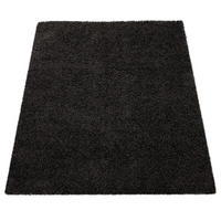 HOCHFLORTEPPICH 60/100 cm Sky 250 - Schwarz, Textil (60/100cm) - Paco Home