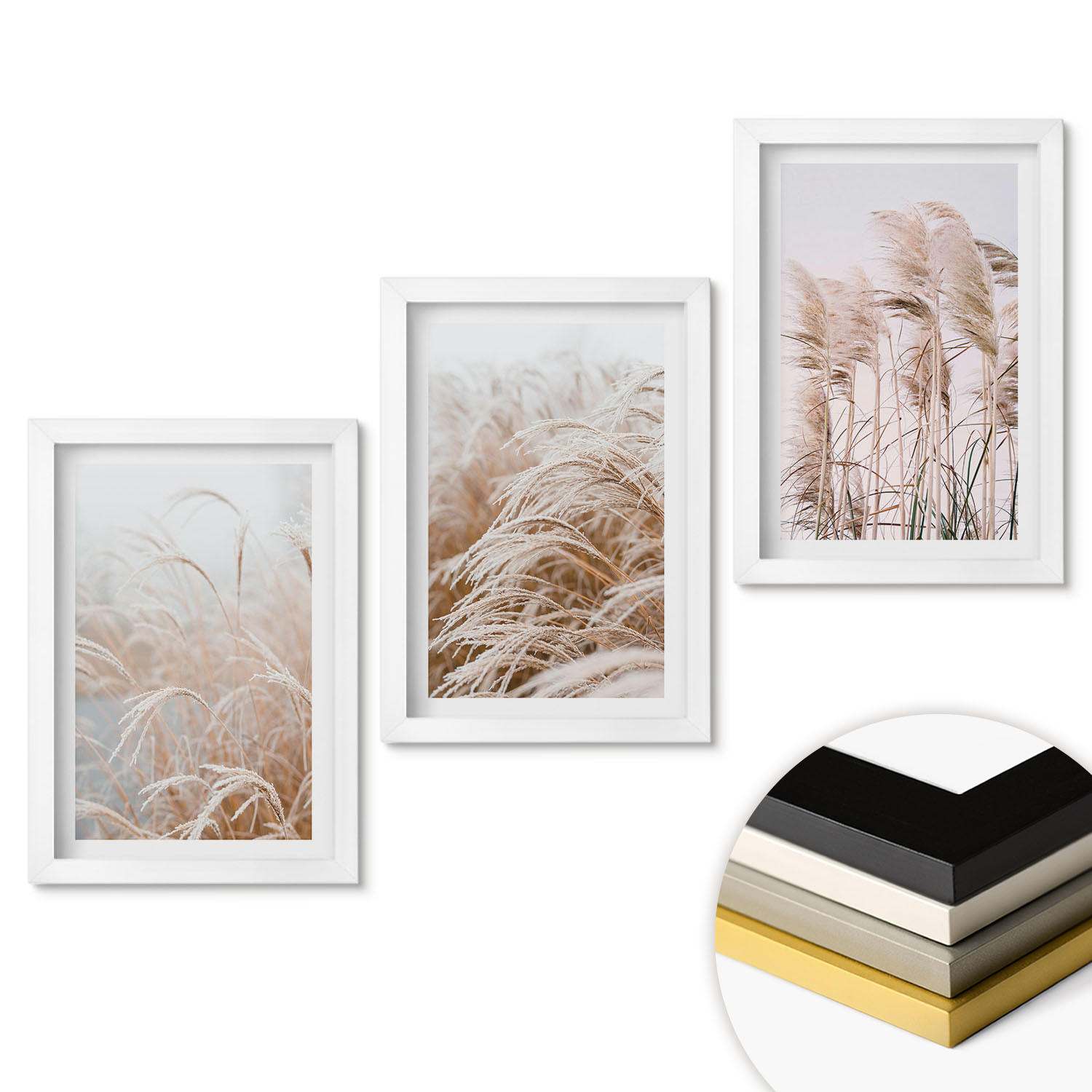 WANDBILDER 3er-Set - 20x30 cm Weißer Rahmen - Grasflächen in Braun- und Beigetönen - Weiß, Kunststoff (20/30cm) - ArtPrintCave
