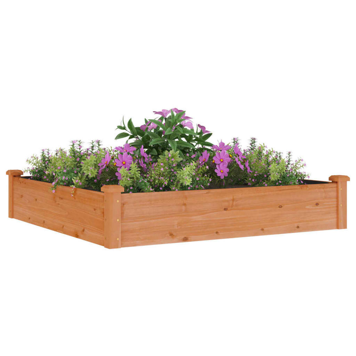 HOCHBEET mit Einsatz Braun 120x120x25 cm Massivholz Tanne - Braun, Holz (120/25/120cm) - furnicato