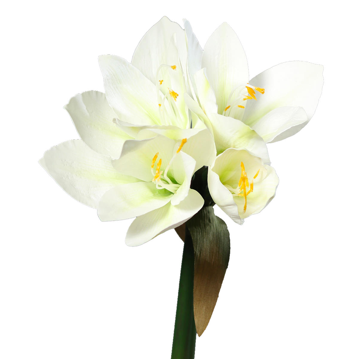 AMARYLLIS Künstliche Amaryllis - Jovie 30 cm, weiß - Grün, Kunststoff (30cm) - aplanta