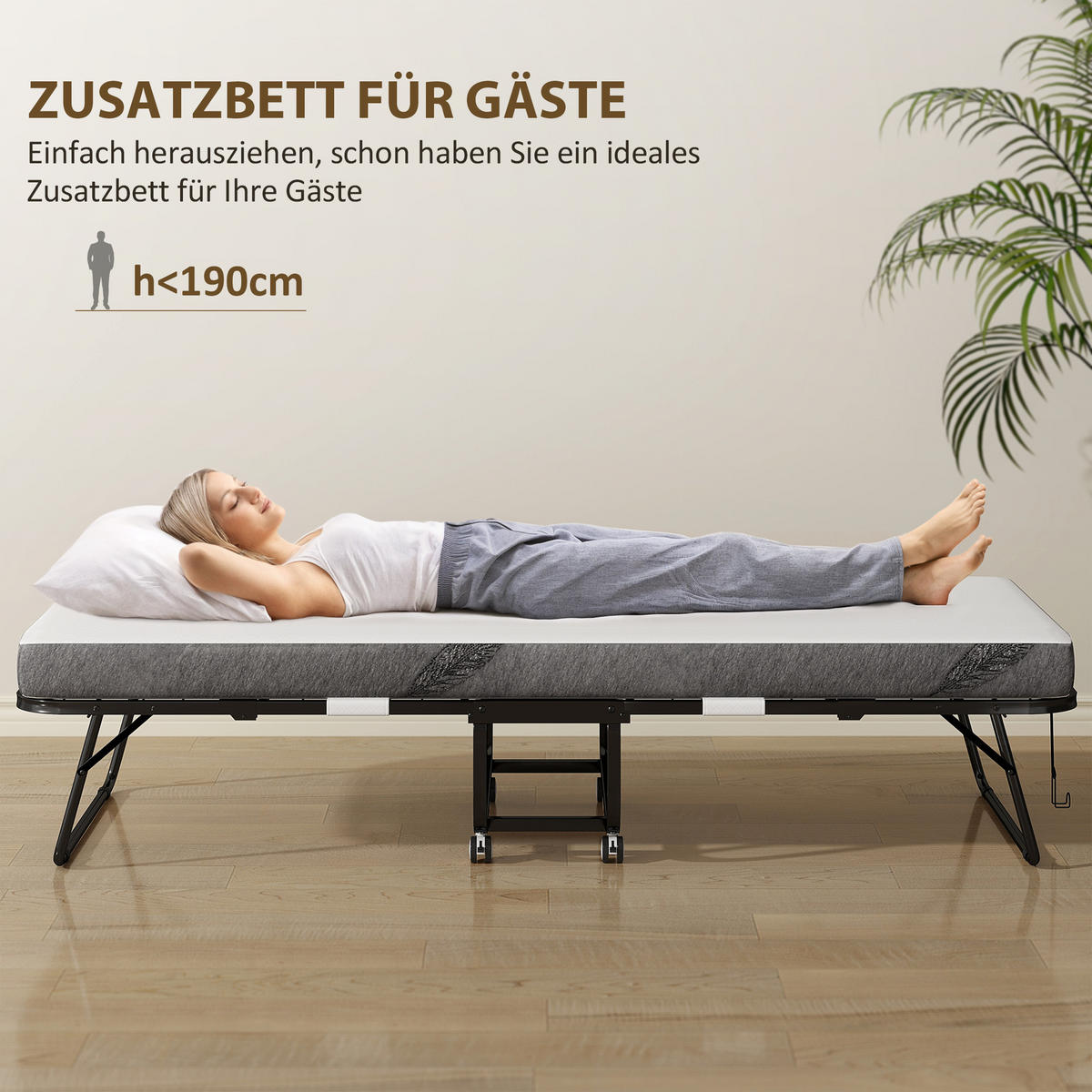KLAPPBETT 80x200 cm DE-10738 mit 10 cm Schaumstoff & Rollen Grau - Grau, Textil (80/200cm) - ComfortXL