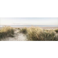 GLASBILD 125x50 cm Dünen Strand - Beige, Glas (125/50cm) - artissimo
