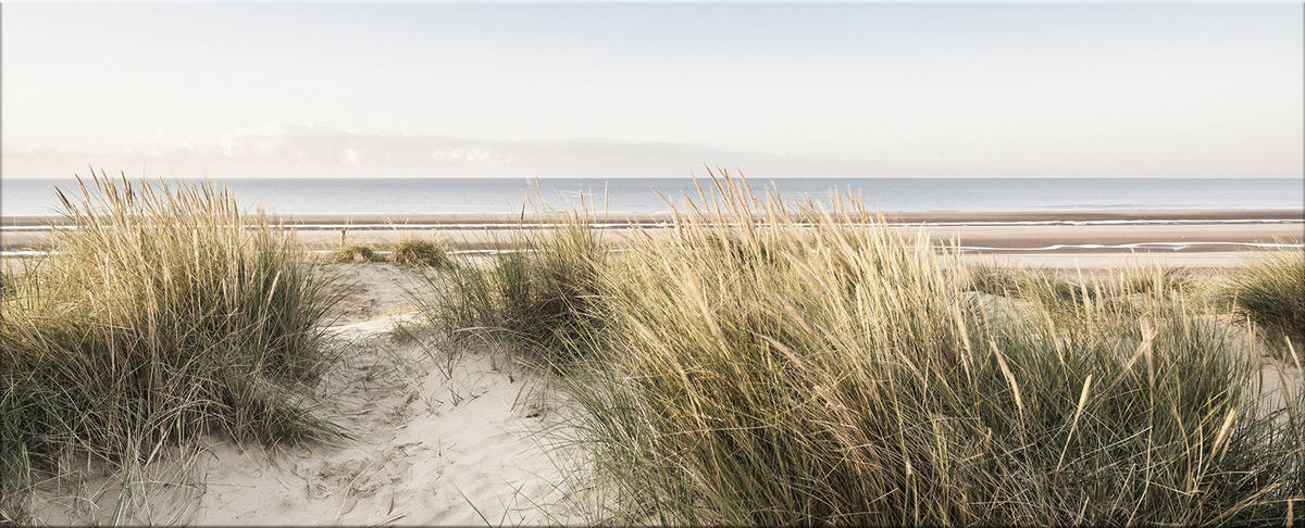 GLASBILD 125x50 cm Dünen Strand - Beige, Glas (125/50cm) - artissimo