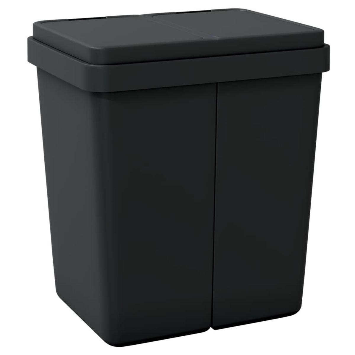 MÜLLEIMER 2 Fächer Küche 2x25L Anthrazit - Anthrazit, Kunststoff (43.5/48.5/32.5cm) - DELUKE