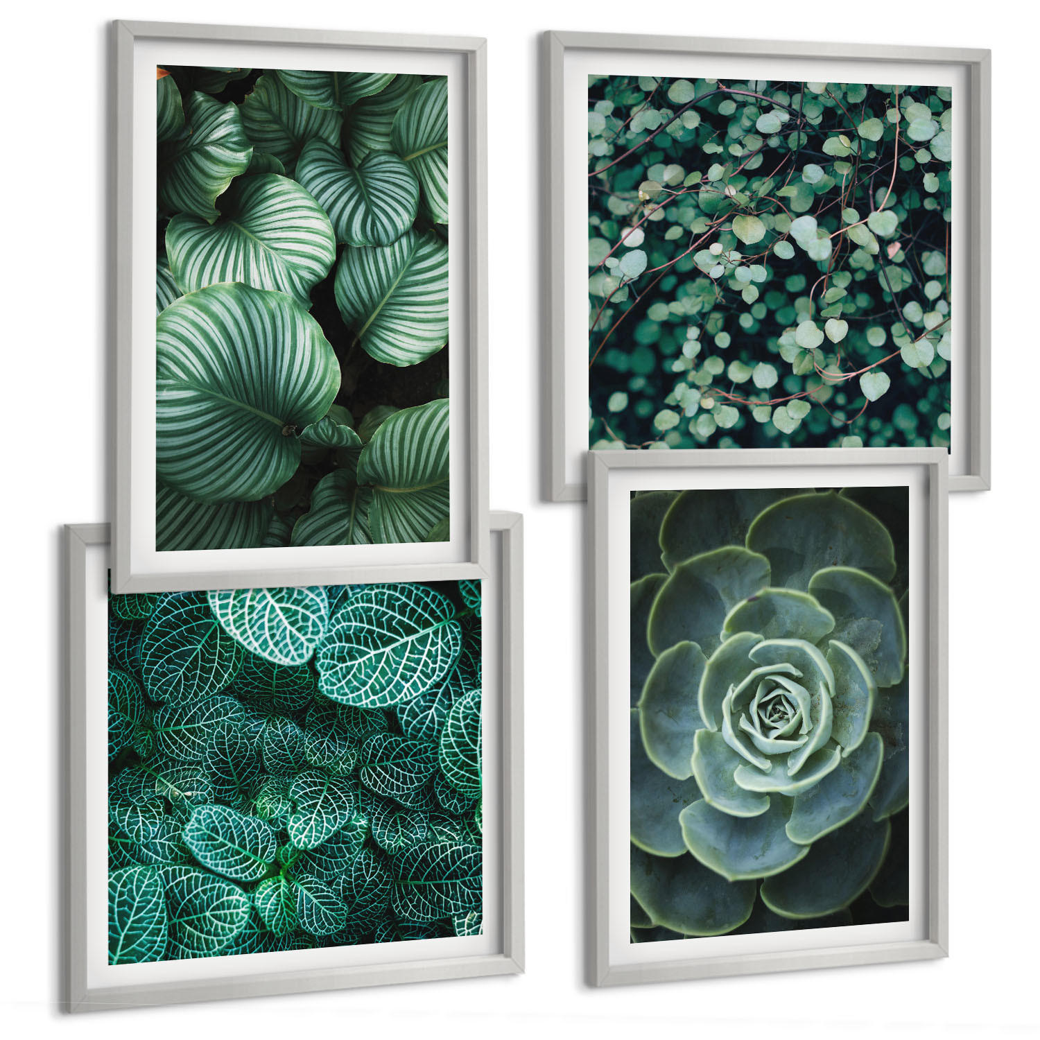 BILDER SET 4er Set - 50x50 cm & 40x60 cm Silberner Rahmen - Grüne, saftige Blätter - Silberfarben, Kunststoff (50/50cm) - TULUP