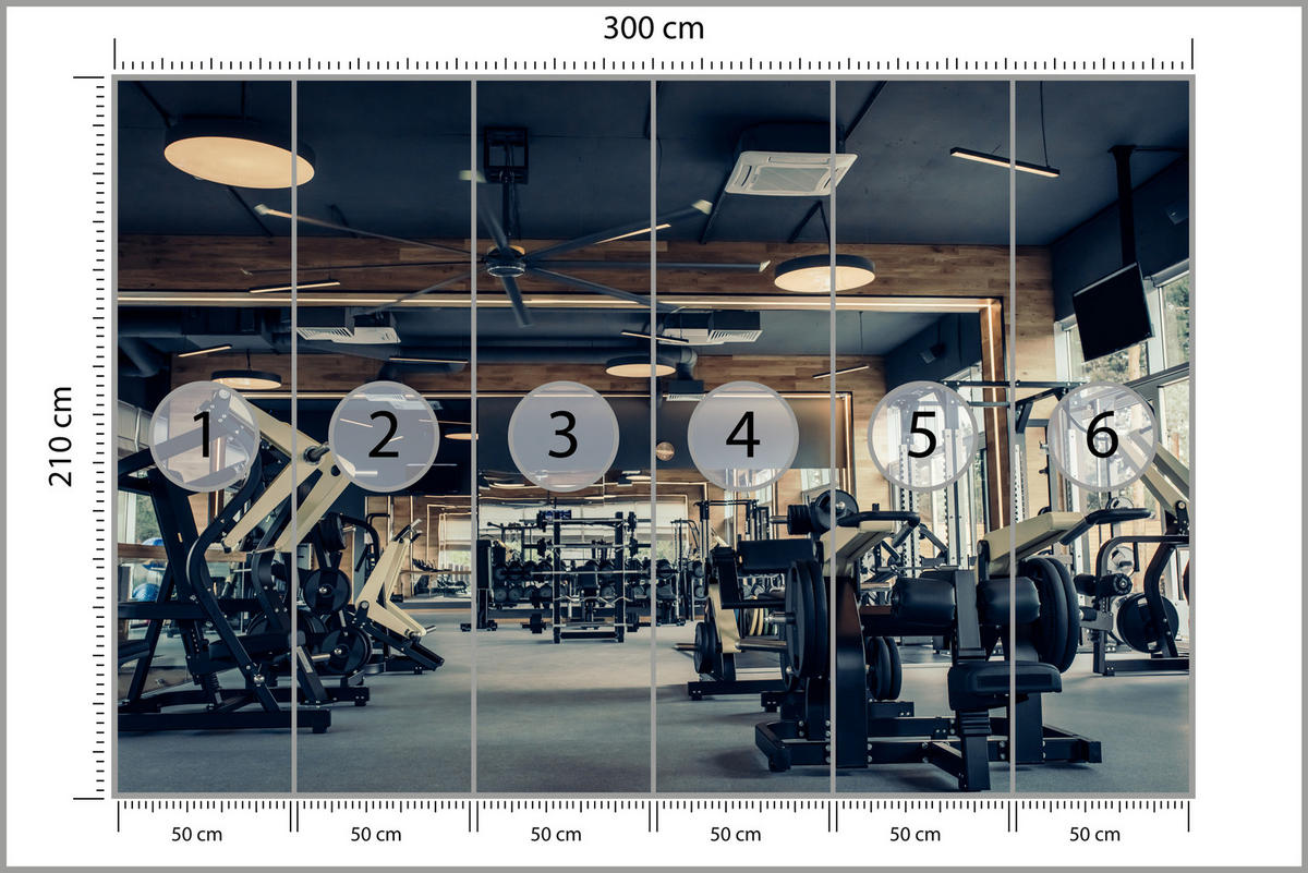 FOTOTAPETE Modernes Fitnessstudio Trainingsgeräte Sport 300x210 - Schwarz/Braun, Papier (300/210cm) - Muralo
