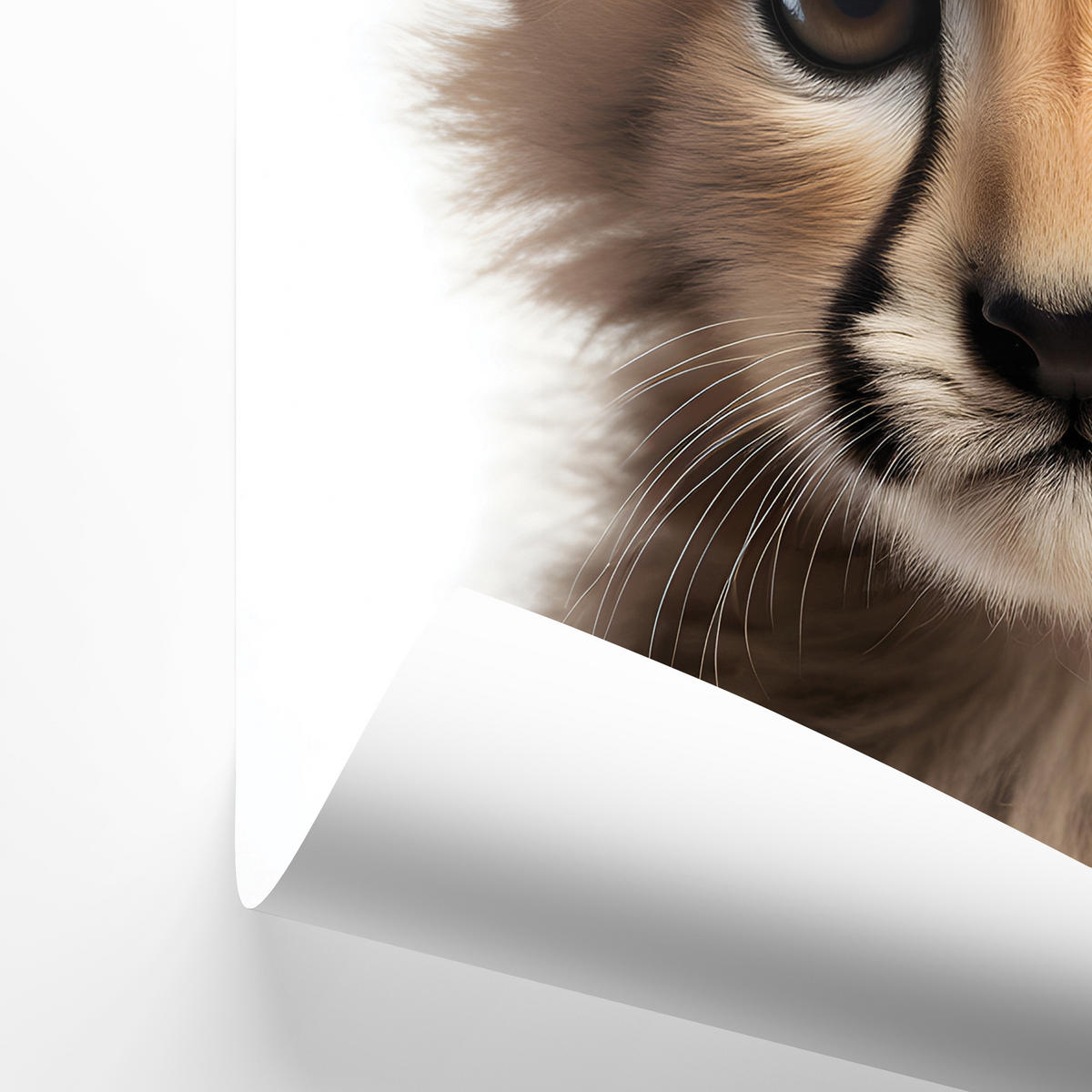 POSTER SET ohne Rahmen für Kinderzimmer WILDTIERE Giraffe Gepard Zebra A4 21x30cm - Gelb/Schwarz, Papier (21/30/1cm) - Muralo