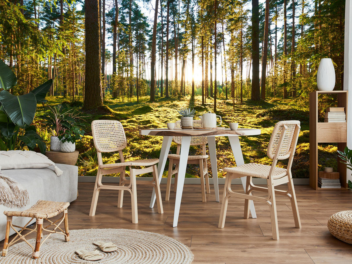 FOTOTAPETE für Küche Sonnenaufgang WALD Moss Bäume Sonnenstrahl 500x350 - Gelb/Braun, Papier (500/350cm) - Muralo