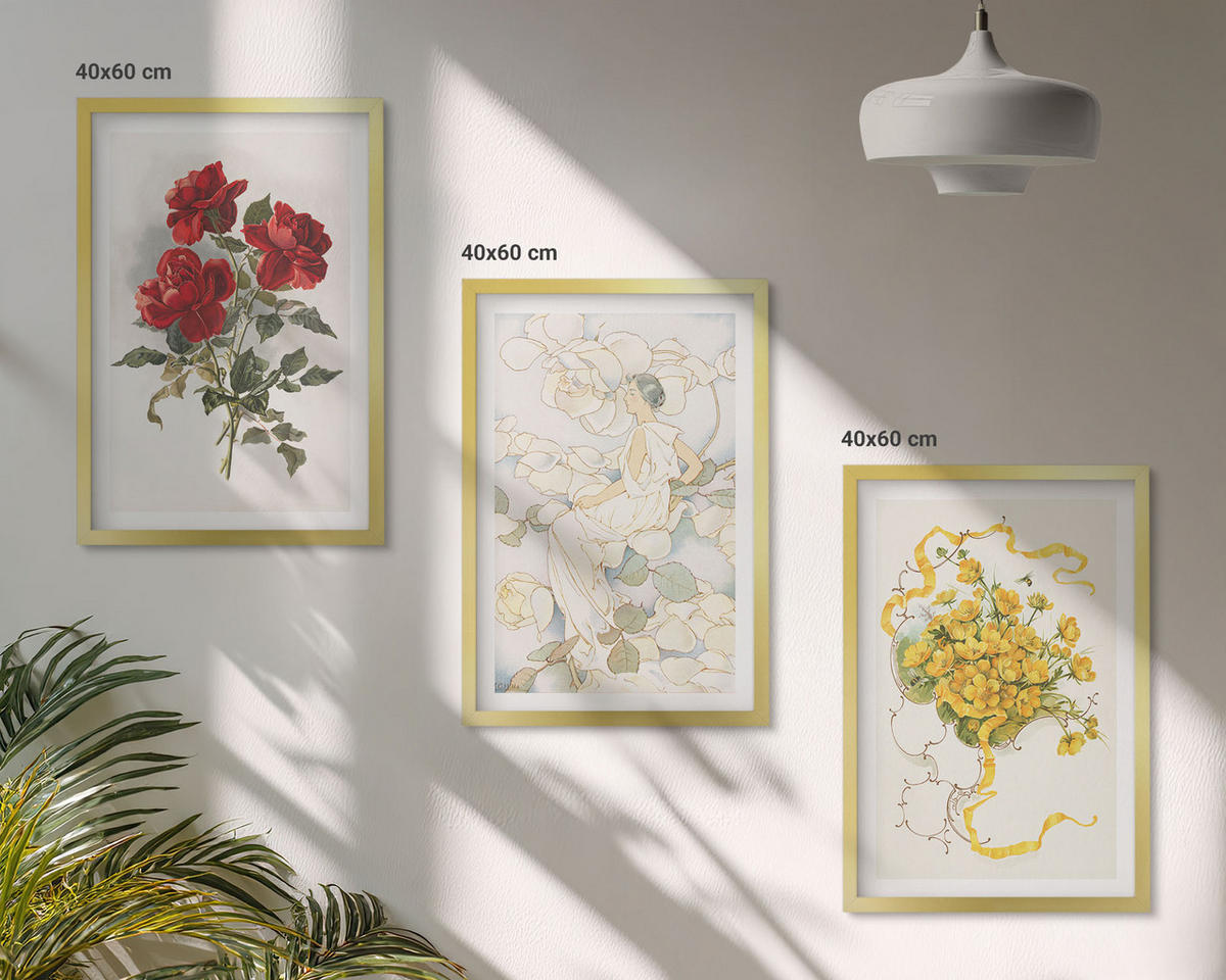 BILDER SET 3er Set - 40x60 cm Goldrahmen - Rosen rot-weiße Form - Goldfarben, Kunststoff (40/60cm) - TULUP