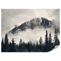 FOTOTAPETE für Wohnzimmer Nadelwald im Nebel im Hintergrund Berge 200x140 - Beige/Schwarz, Papier (200/140cm) - Muralo