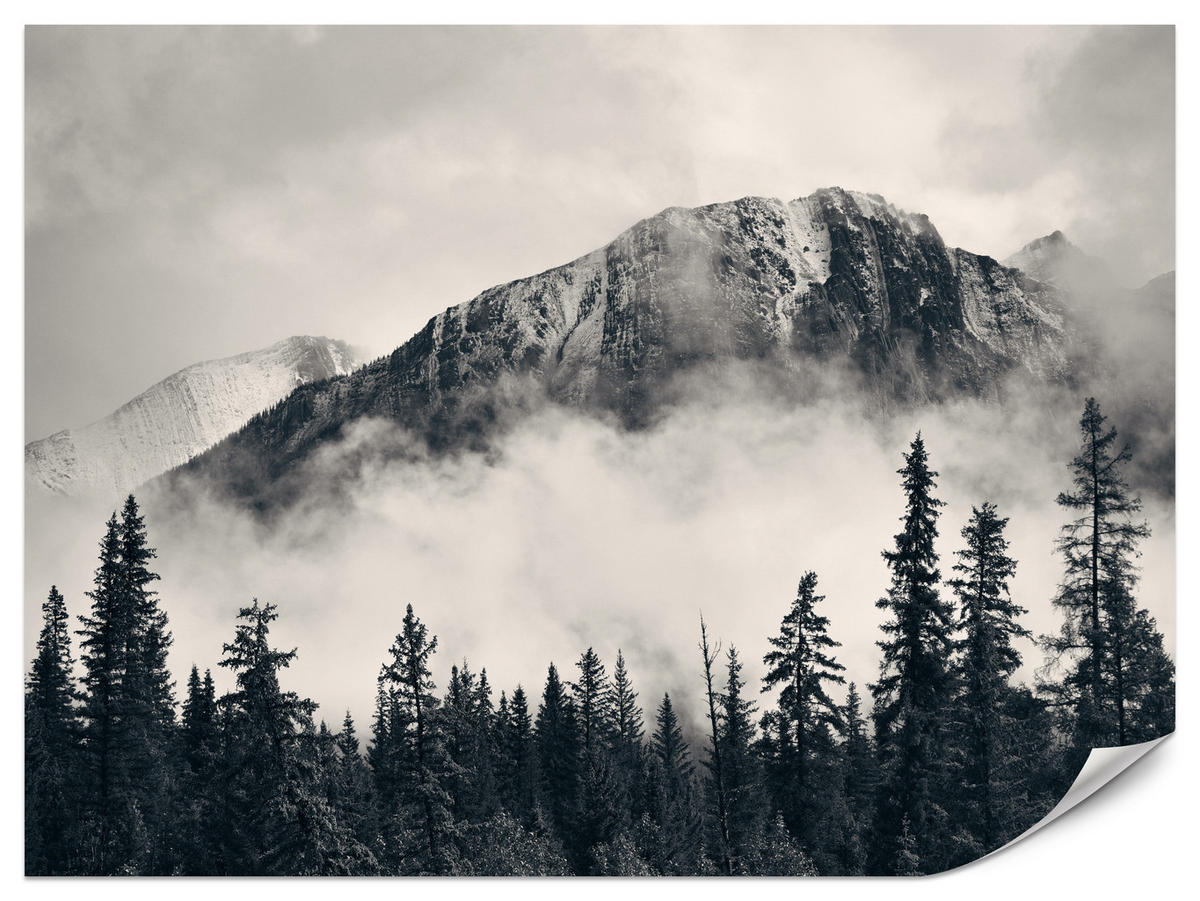 FOTOTAPETE für Wohnzimmer Nadelwald im Nebel im Hintergrund Berge 200x140 - Beige/Schwarz, Papier (200/140cm) - Muralo
