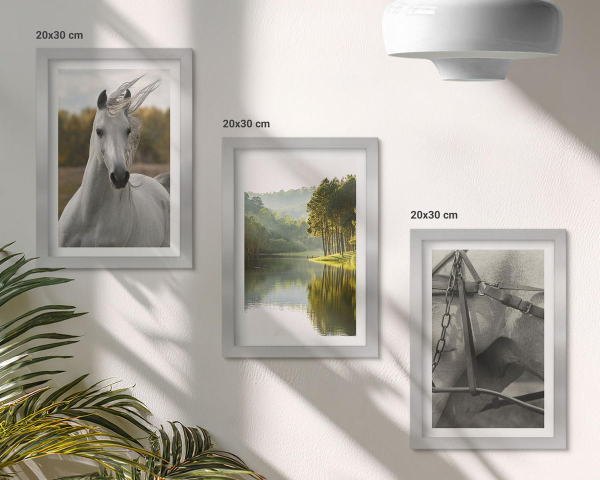 BILDER SET 3er Set - 20x30 cm Silberner Rahmen - Natur des Flusses White Horses - Silberfarben, Kunststoff (20/30cm) - TULUP