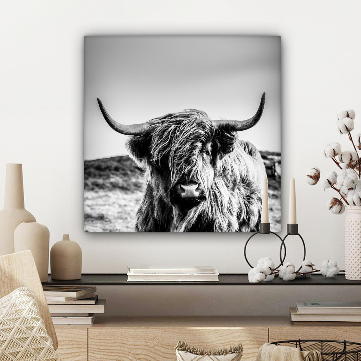 OBRAZ NA PLÁTNĚ Kráva - Skotský horal - Černá - Bílá - Zvíře - Příroda - Divoká zvěř 50x50 cm - černá, textil (50/50cm) - MuchoWow